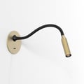 Lucca Recessed (Cord Set) (1435039) in Matt Gold - Product Thumbnail 1