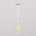 Tube 135 Pendant (4005298) in Matt Nickel - Product Thumbnail 1