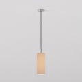 Tube 135 Pendant (4005950) in Matt Nickel - Product Thumbnail 1