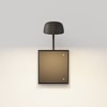 Monet 250 0-10V (1517010) in Bronze - Product Thumbnail 4