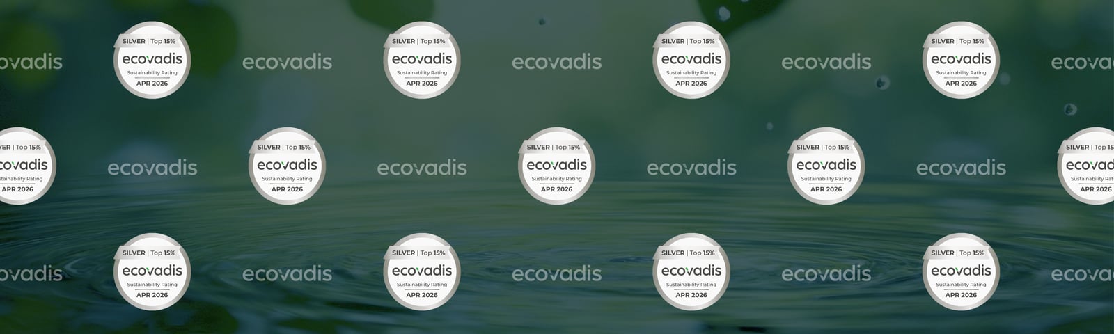 Ecovadis silver award banner