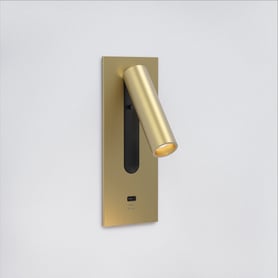 Fuse 3 USB C (Cord Set) (1215164) in Matt Gold